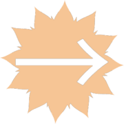 262