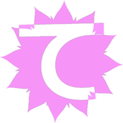 019