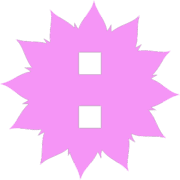 244