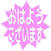 304