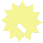 256