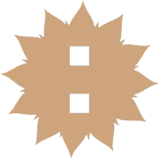 244