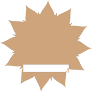 250