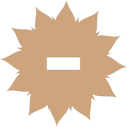251