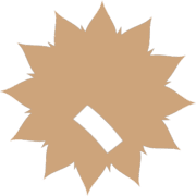 256