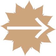 262