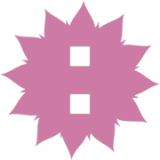 244