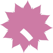 256