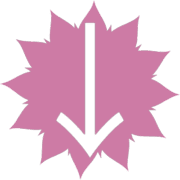 261