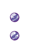 244