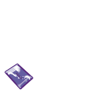256