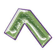 029