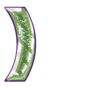 235