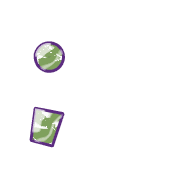 243