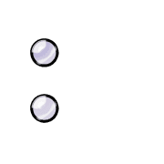 244