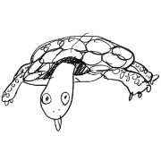004
