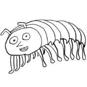 005