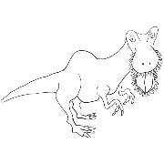 009