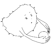 020