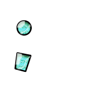 243