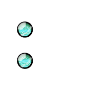 244