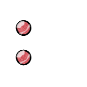 244