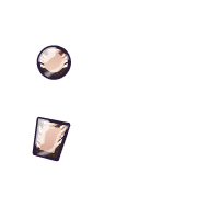 243