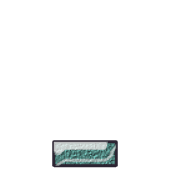 250