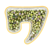 124
