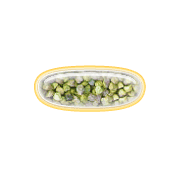 251