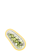 256