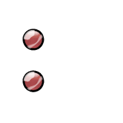 244