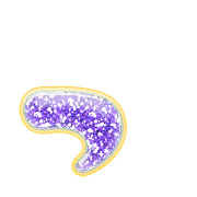 052