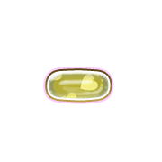 251