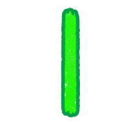 081
