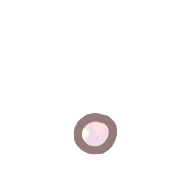 085