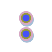 244