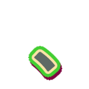 256