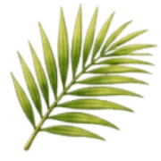 027