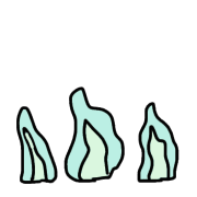 005
