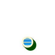 246