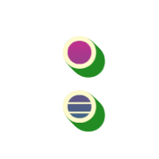 244