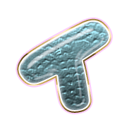 082