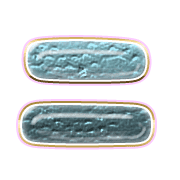 102