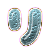 120