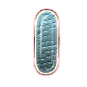 199