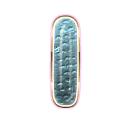 242