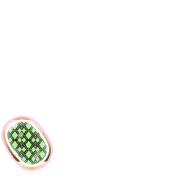 256