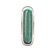 242