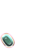 256